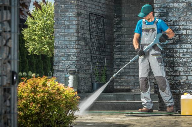 Best Animal Enclosure Cleaning  in Zephyrhills North, FL