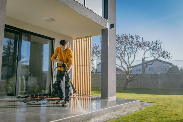 Best Driveway Pressure Washing  in Zephyrhills North, FL